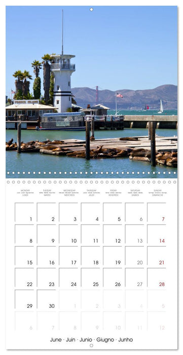 SAN FRANCISCO Highlights (CALVENDO Monthly Calendar 2026)