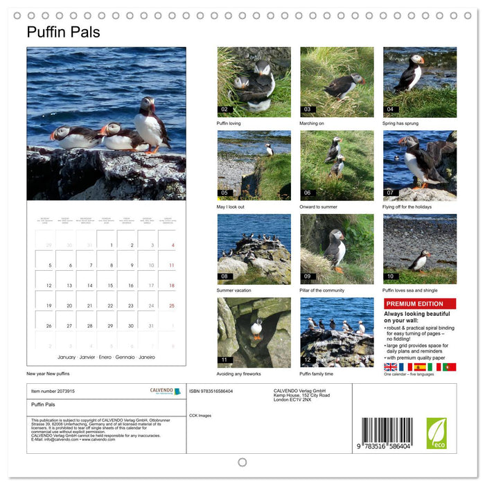 Puffin Pals (CALVENDO Monthly Calendar 2026)