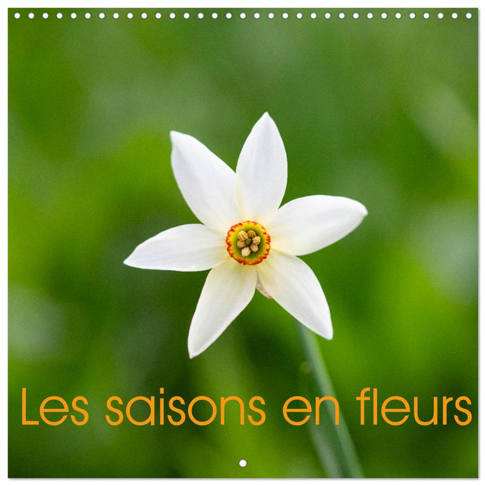 Les saisons en fleurs (CALVENDO Calendrier mensuel 2026)