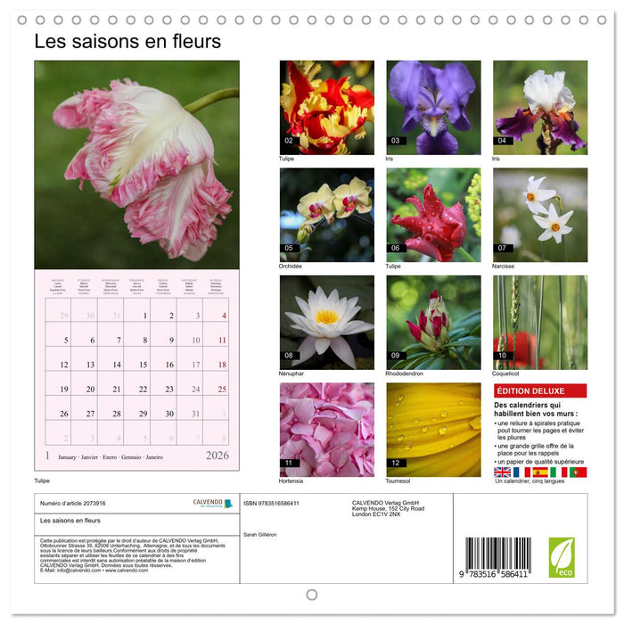 Les saisons en fleurs (CALVENDO Calendrier mensuel 2026)