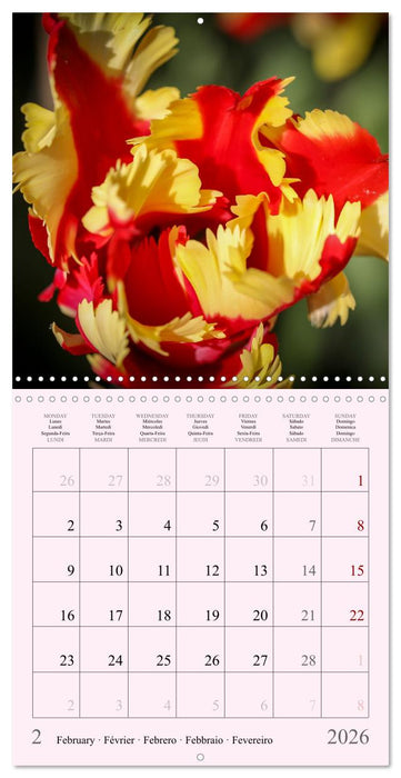 Les saisons en fleurs (CALVENDO Calendrier mensuel 2026)