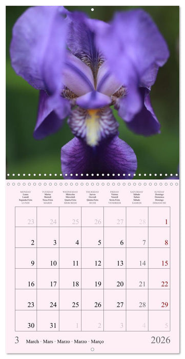 Les saisons en fleurs (CALVENDO Calendrier mensuel 2026)