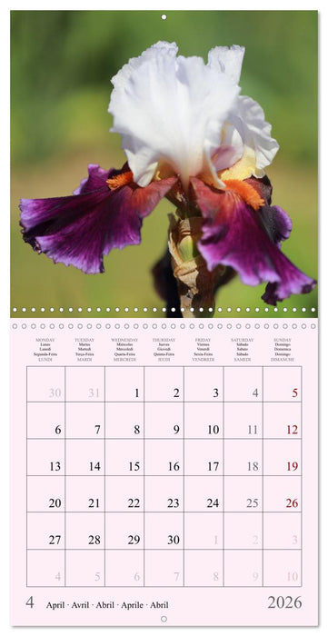 Les saisons en fleurs (CALVENDO Calendrier mensuel 2026)