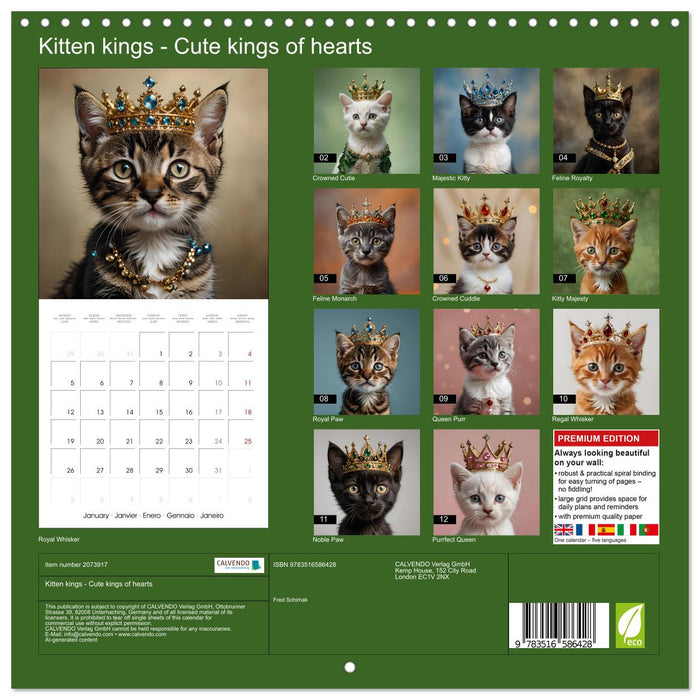Kitten kings - Cute kings of hearts (CALVENDO Monthly Calendar 2026)