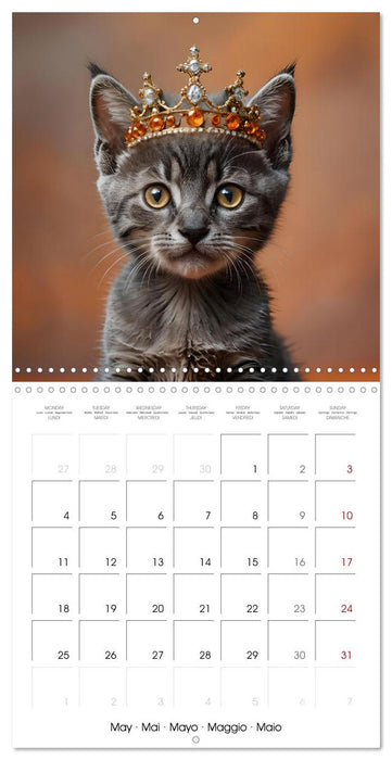 Kitten kings - Cute kings of hearts (CALVENDO Monthly Calendar 2026)
