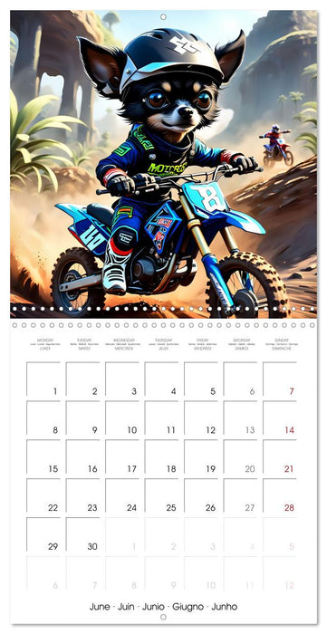 Outdoor adventure with an AI-Chihuahua (CALVENDO Monthly Calendar 2026)