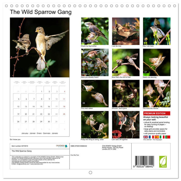The Wild Sparrow Gang (CALVENDO Monthly Calendar 2026)