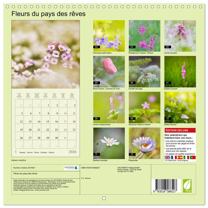 Fleurs du pays des rêves (CALVENDO Calendrier mensuel 2026)