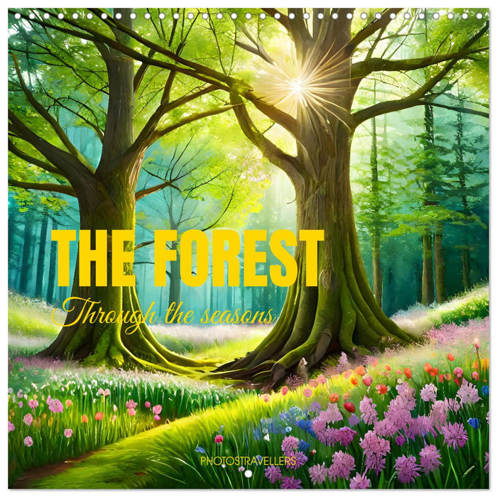 The forest through the seasons (CALVENDO Monthly Calendar 2026)