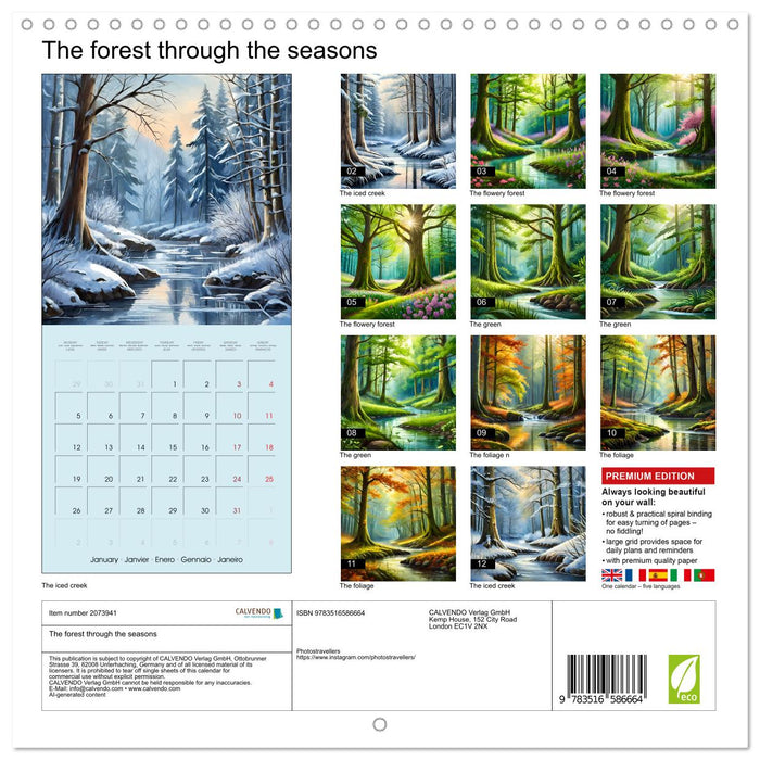 The forest through the seasons (CALVENDO Monthly Calendar 2026)