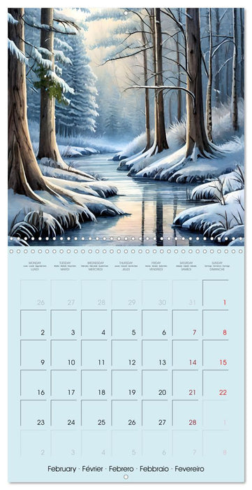 The forest through the seasons (CALVENDO Monthly Calendar 2026)
