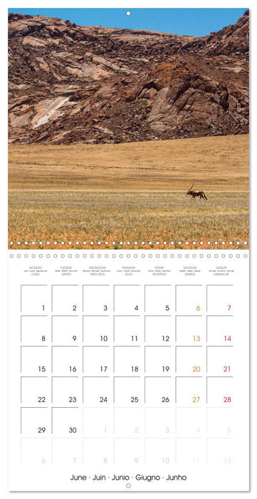 Namibian desert (CALVENDO Monthly Calendar 2026)
