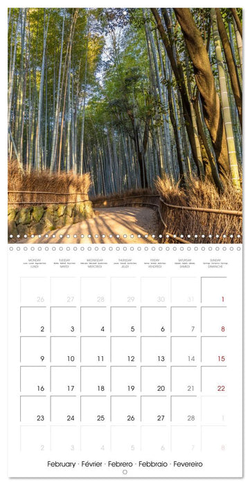 JAPAN Highlights (CALVENDO Monthly Calendar 2026)