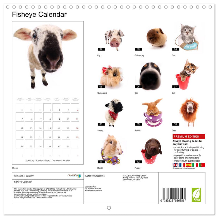 Fisheye Calendar (CALVENDO Monthly Calendar 2026)