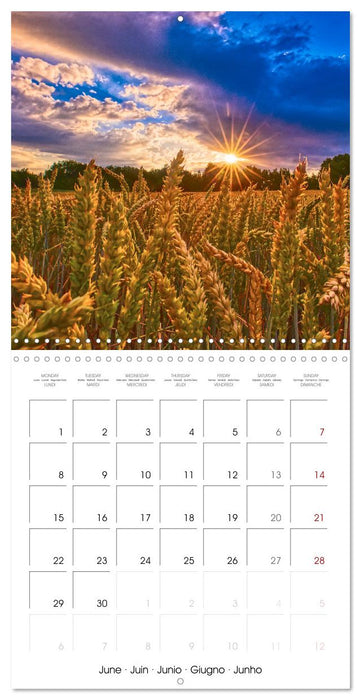 Les paysages d'Allemagne (CALVENDO Calendrier mensuel 2026)