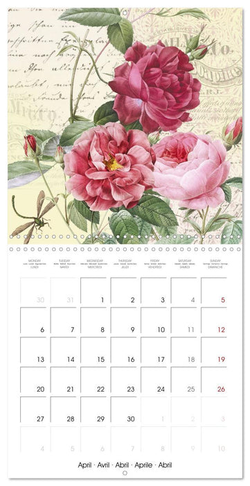 The Magical Roses Collages with roses from Pierre Joseph Redouté (CALVENDO Monthly Calendar 2026)