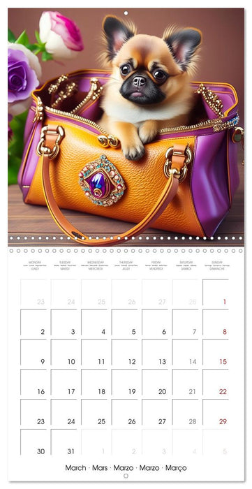 Handbag dogs - always with you (CALVENDO Monthly Calendar 2026)