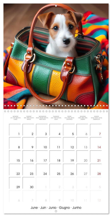 Handbag dogs - always with you (CALVENDO Monthly Calendar 2026)
