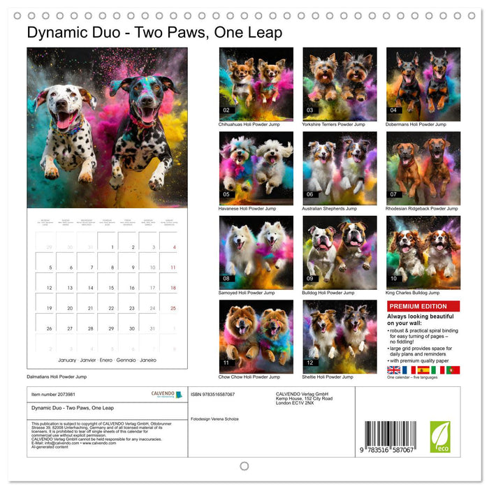 Dynamic Duo - Two Paws, One Leap (CALVENDO Monthly Calendar 2026)