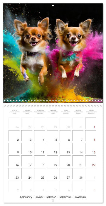 Dynamic Duo - Two Paws, One Leap (CALVENDO Monthly Calendar 2026)