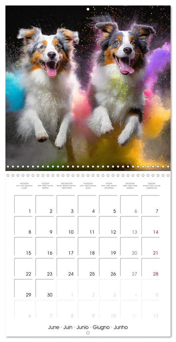 Dynamic Duo - Two Paws, One Leap (CALVENDO Monthly Calendar 2026)