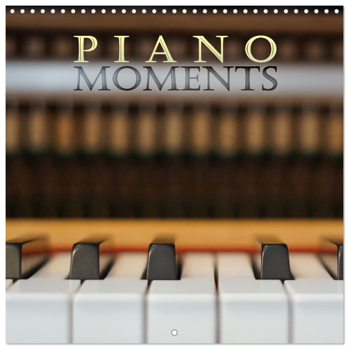 Piano Moments (CALVENDO Monthly Calendar 2026)