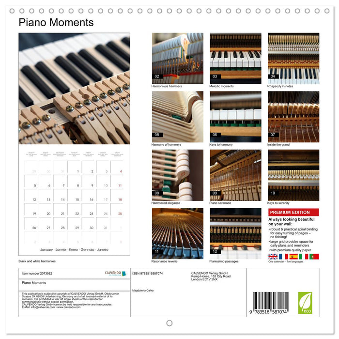 Piano Moments (CALVENDO Monthly Calendar 2026)
