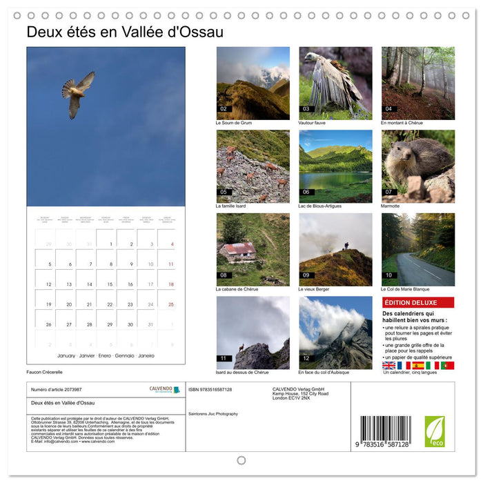 Deux étés en Vallée d'Ossau (CALVENDO Calendrier mensuel 2026)
