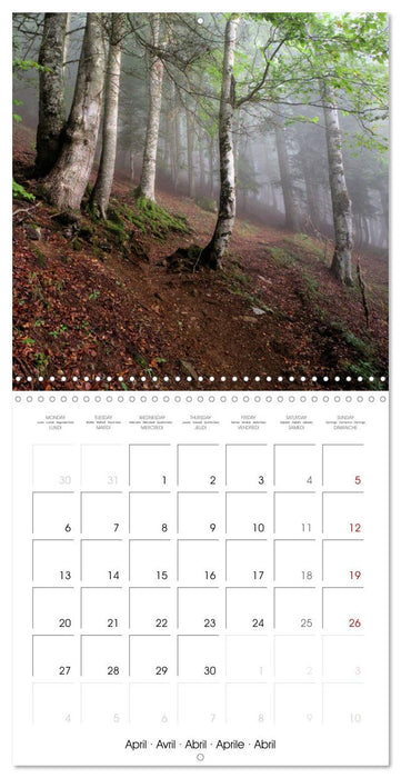 Deux étés en Vallée d'Ossau (CALVENDO Calendrier mensuel 2026)