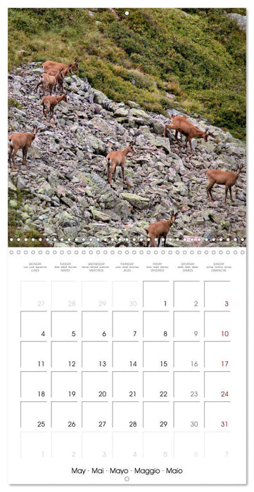 Deux étés en Vallée d'Ossau (CALVENDO Calendrier mensuel 2026)