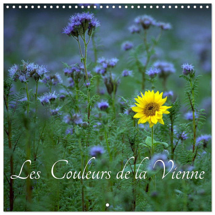 Les couleurs de la Vienne (CALVENDO Calendrier mensuel 2026)