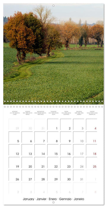 Les couleurs de la Vienne (CALVENDO Calendrier mensuel 2026)