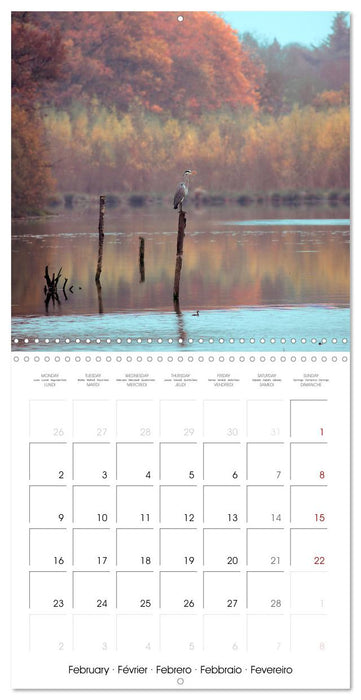 Les couleurs de la Vienne (CALVENDO Calendrier mensuel 2026)