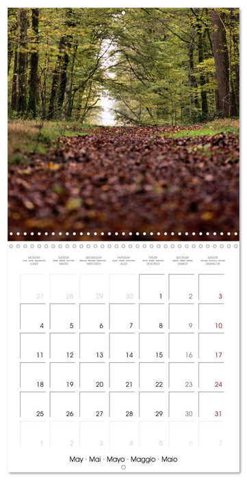 Les couleurs de la Vienne (CALVENDO Calendrier mensuel 2026)