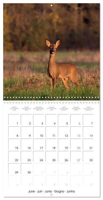 Les couleurs de la Vienne (CALVENDO Calendrier mensuel 2026)