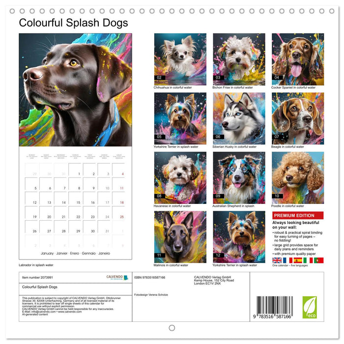 Colourful Splash Dogs (CALVENDO Monthly Calendar 2026)