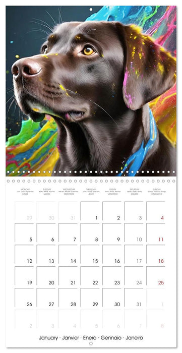 Colourful Splash Dogs (CALVENDO Monthly Calendar 2026)