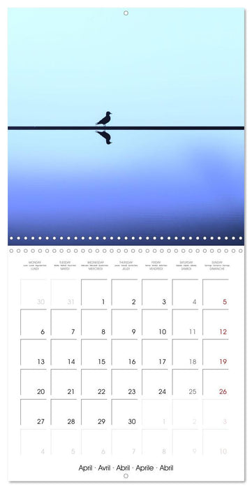 Minimalist Travel (CALVENDO Monthly Calendar 2026)
