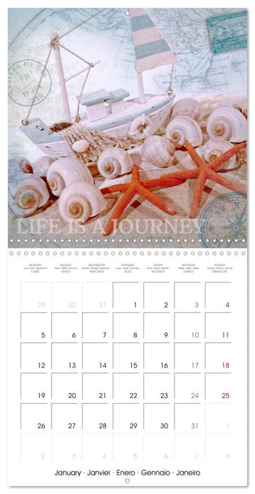Life is better at the sea (CALVENDO Monthly Calendar 2026)