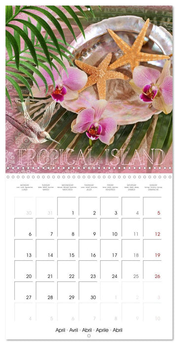 Life is better at the sea (CALVENDO Monthly Calendar 2026)