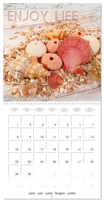 Life is better at the sea (CALVENDO Monthly Calendar 2026)
