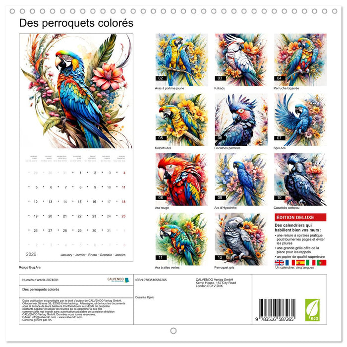 Des perroquets colorés (CALVENDO Calendrier mensuel 2026)
