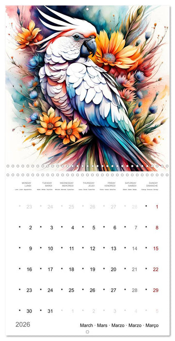 Des perroquets colorés (CALVENDO Calendrier mensuel 2026)