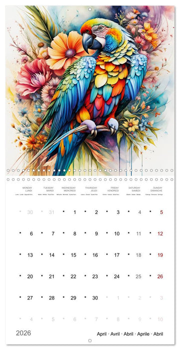 Des perroquets colorés (CALVENDO Calendrier mensuel 2026)