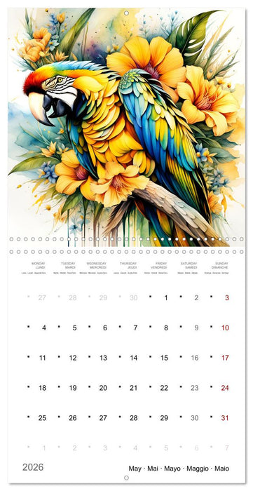 Des perroquets colorés (CALVENDO Calendrier mensuel 2026)