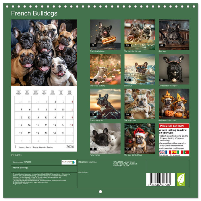 French Bulldogs (CALVENDO Monthly Calendar 2026)