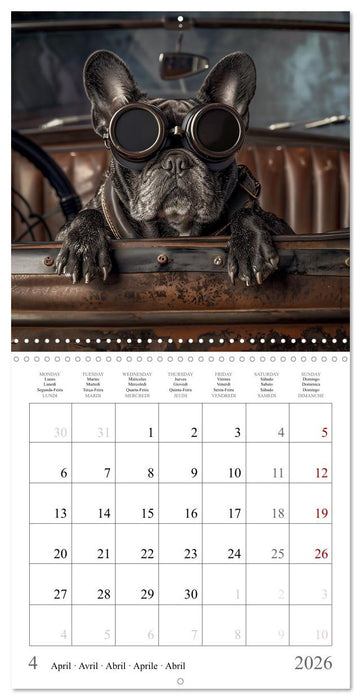 French Bulldogs (CALVENDO Monthly Calendar 2026)