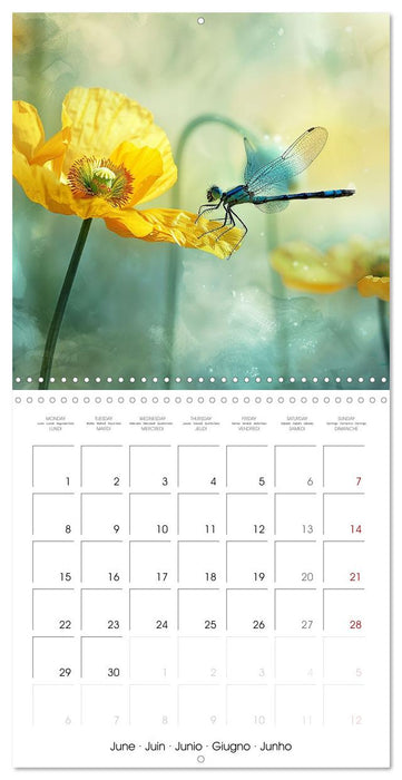 Magical Poppies (CALVENDO Monthly Calendar 2026)