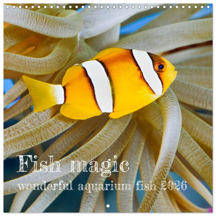 Fish magic (CALVENDO Monthly Calendar 2026)