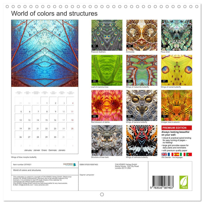 World of colors and structures (CALVENDO Monthly Calendar 2026)
